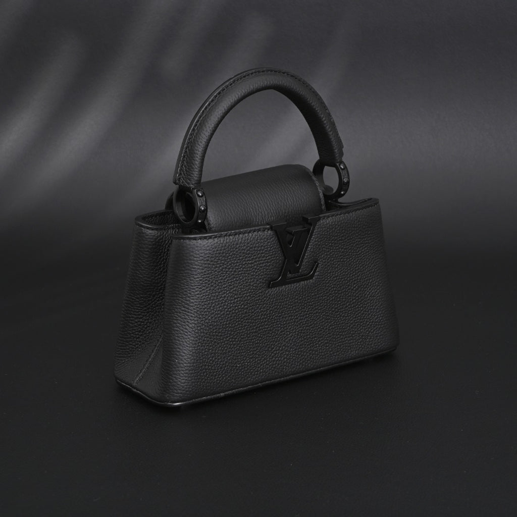 Louis Vuitton mini Capucines EW tote bag