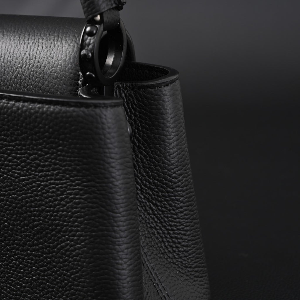 Louis Vuitton mini Capucines EW tote bag