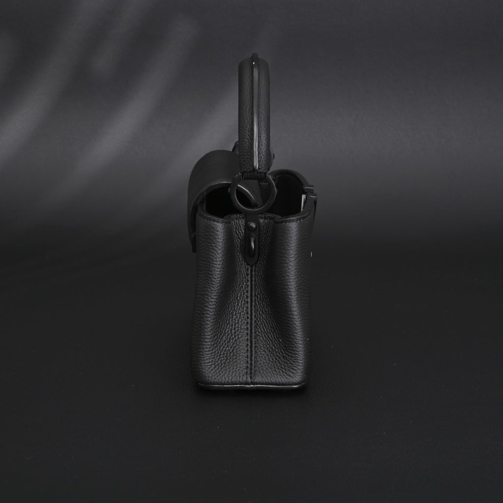 Louis Vuitton mini Capucines EW tote bag