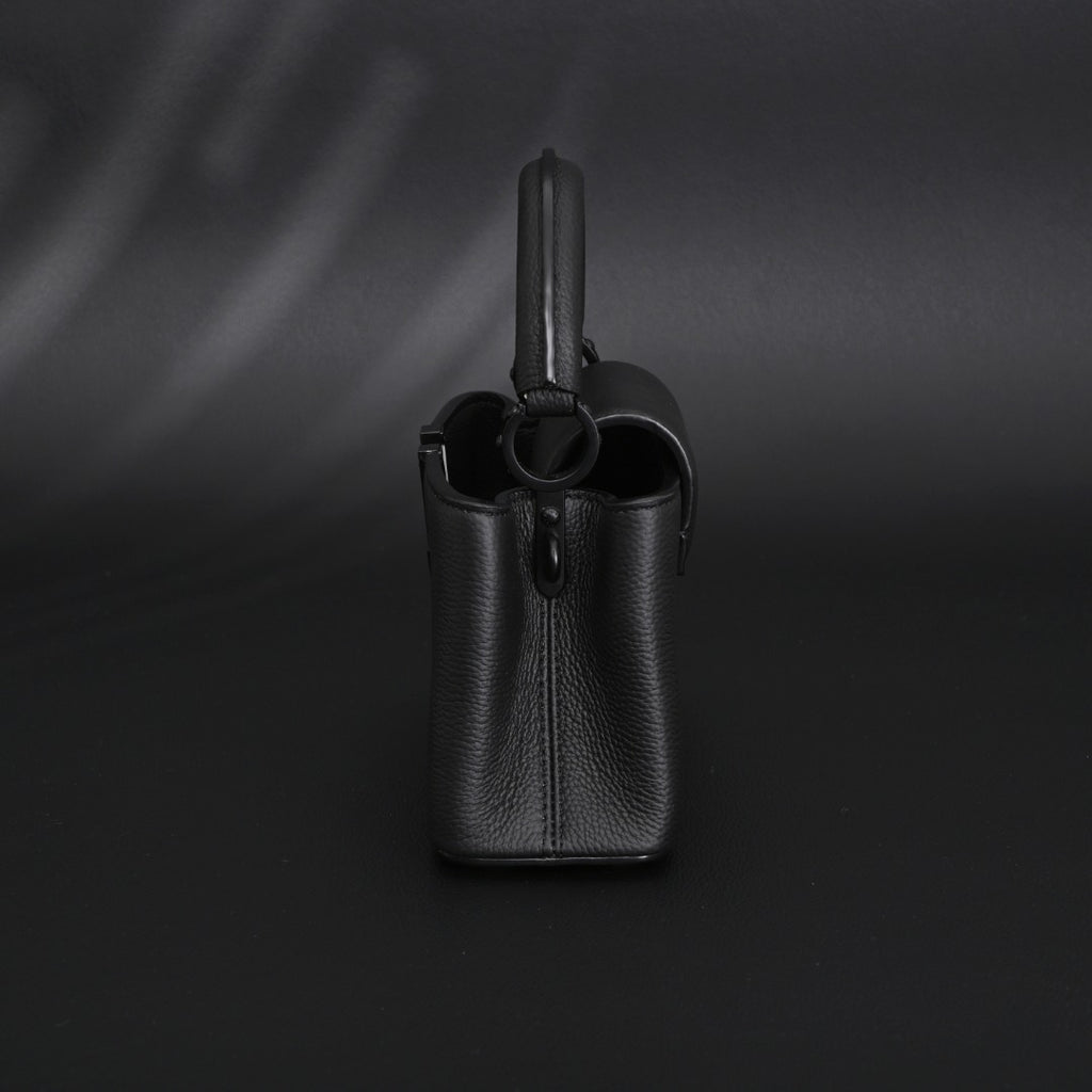 Louis Vuitton mini Capucines EW tote bag