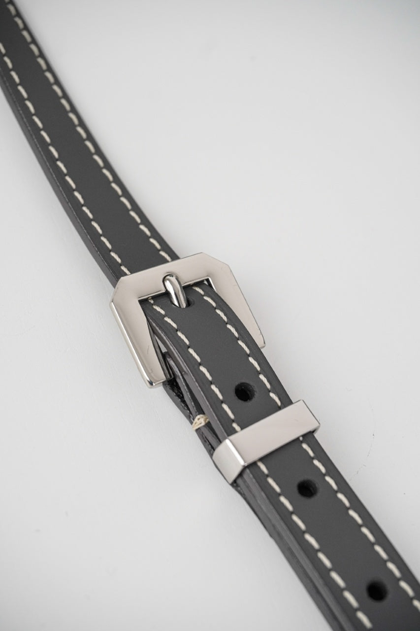 Goyard Cap-Vert PM Bag (Grey)