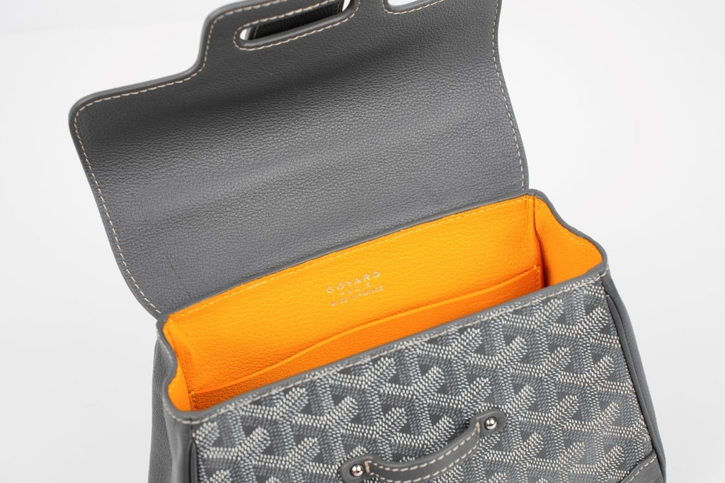 Goyard Mini Saigon Tote Bag (Grey)