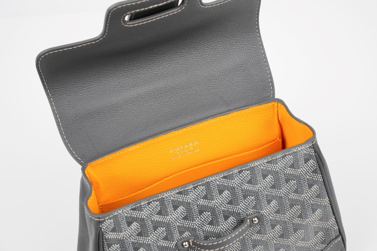 Goyard Mini Saigon Tote Bag (Grey)